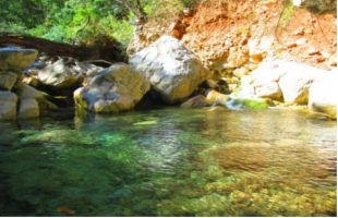 Parque Natural La Estanzuela